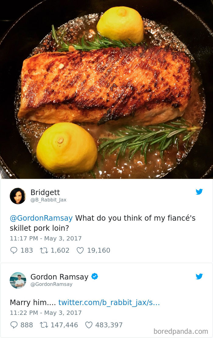 gordon-ramsay-roast-amateur-cooks-twitter-1-5a01bd826b582_700.jpg