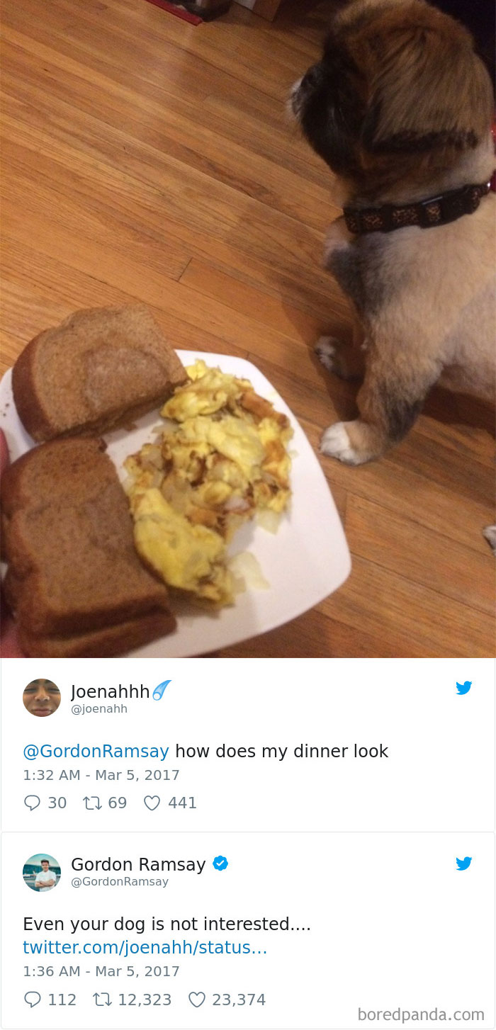 gordon-ramsay-roast-amateur-cooks-twitter-34-5a0310a6083f4_700.jpg
