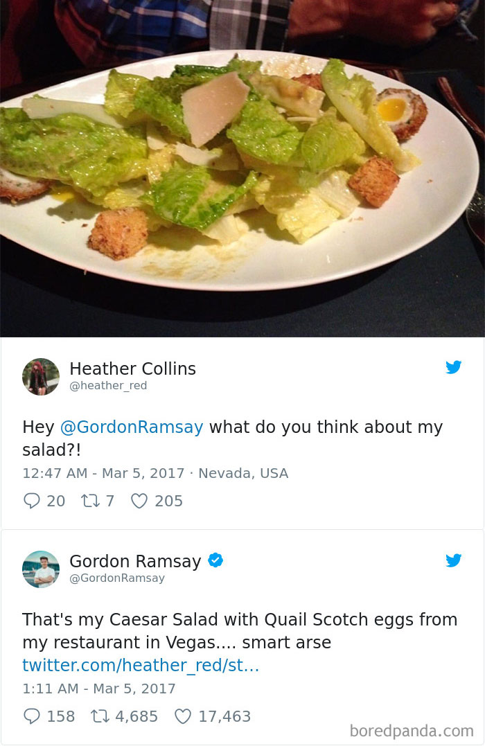 gordon-ramsay-roast-amateur-cooks-twitter-42-5a03190857318_700.jpg